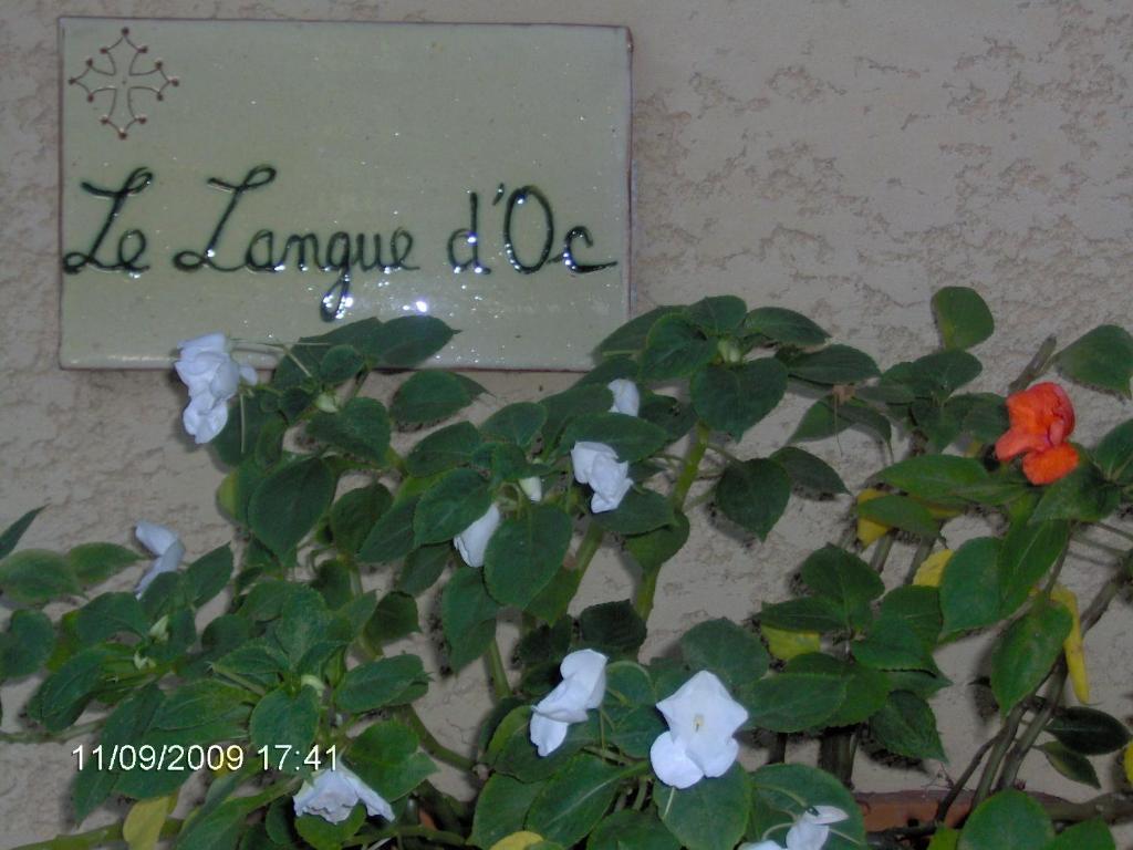 Hotel Le Langue D'Oc Agde Esterno foto